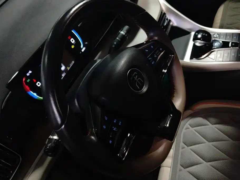 BYD Song Pro New Energy 2024 — фото 15