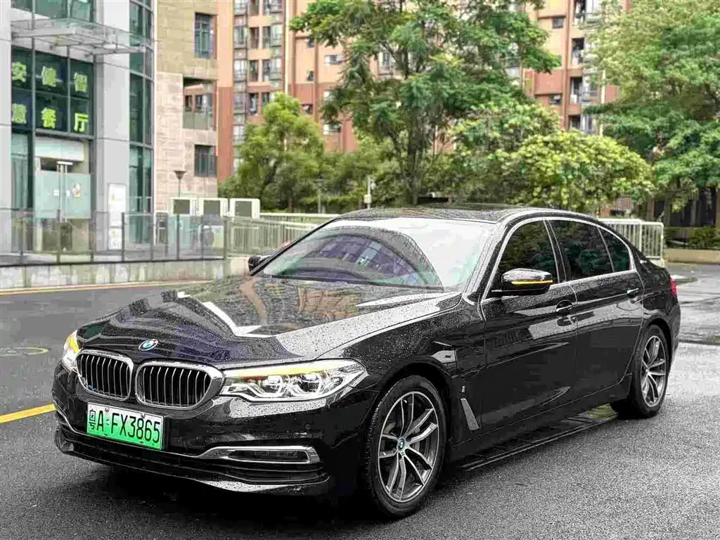 BMW 5 Series New Energy 2018