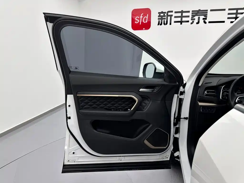 Haval H6 2021 — фото 8