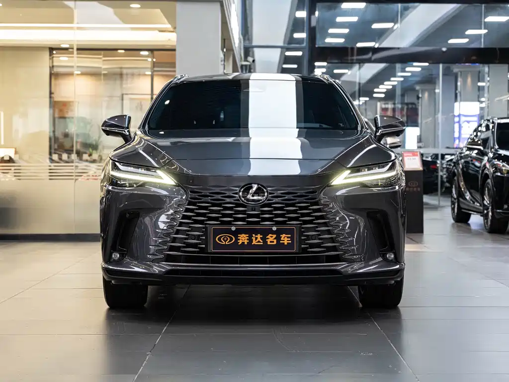 Lexus RX New Energy 2023 — фото 2