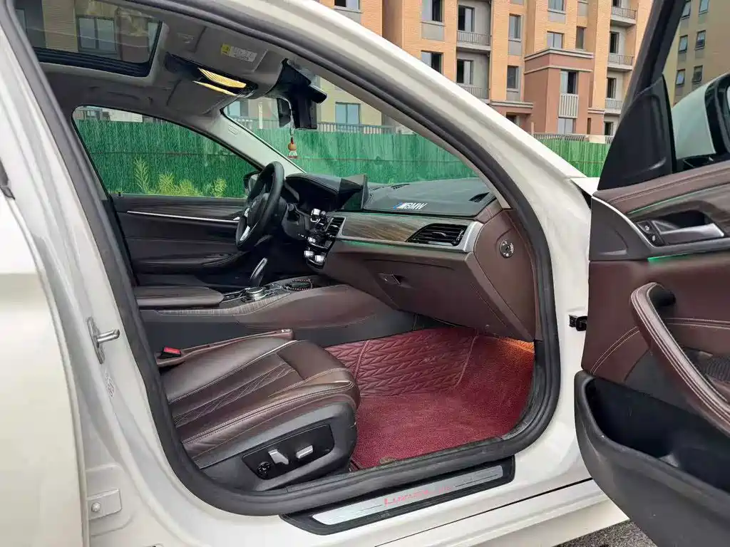 BMW 5 Series New Energy 2020