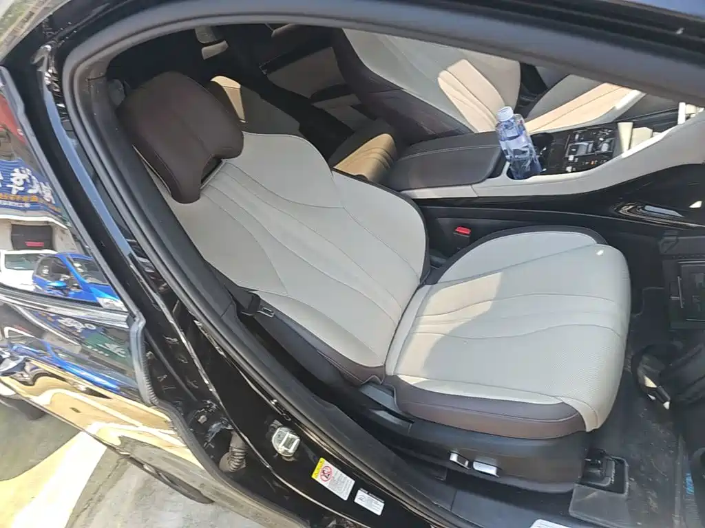 BYD Song PLUS New Energy 2025 — фото 25
