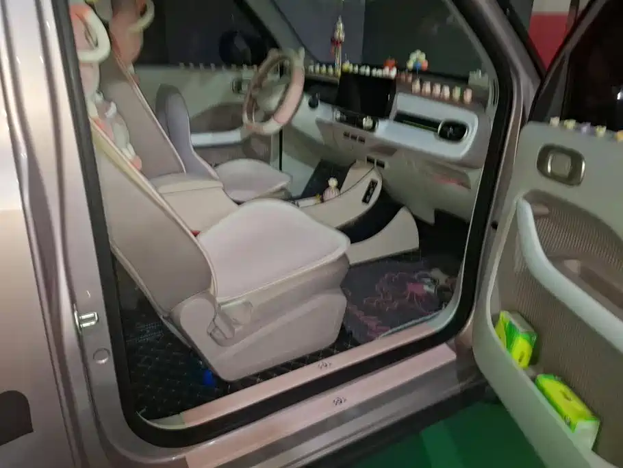 Geely Galaxy Panda 2025 — фото 8