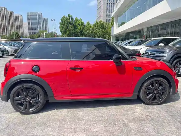 MINI MINI 2024