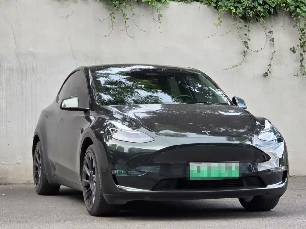 Tesla Model Y 2021 — фото 3