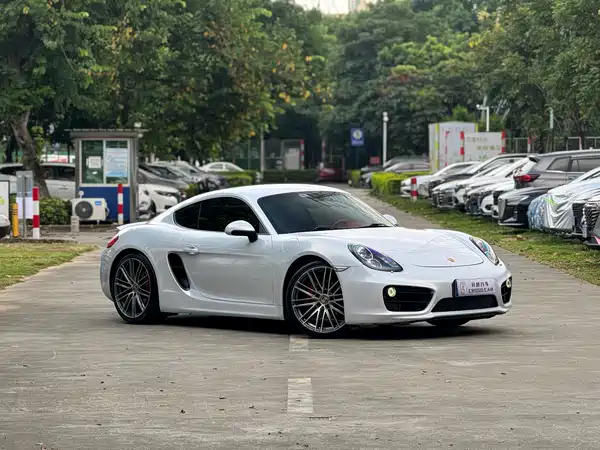Porsche Cayman 2014
