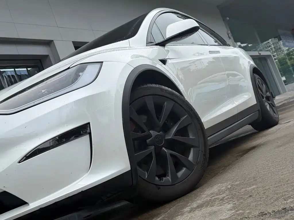 Tesla Model X 2023 — фото 6