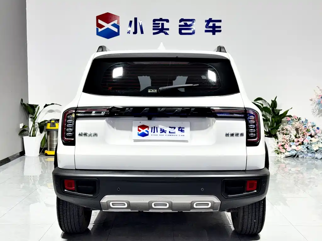 Haval Big Dog 2022 — фото 8