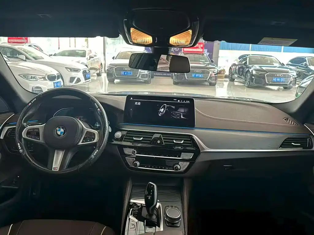 BMW 5 Series New Energy 2021
