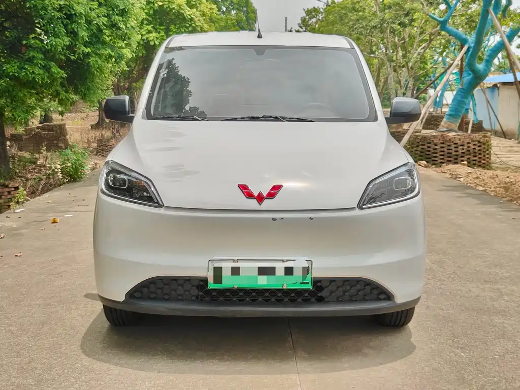 Wuling Hongguang New Energy 2025