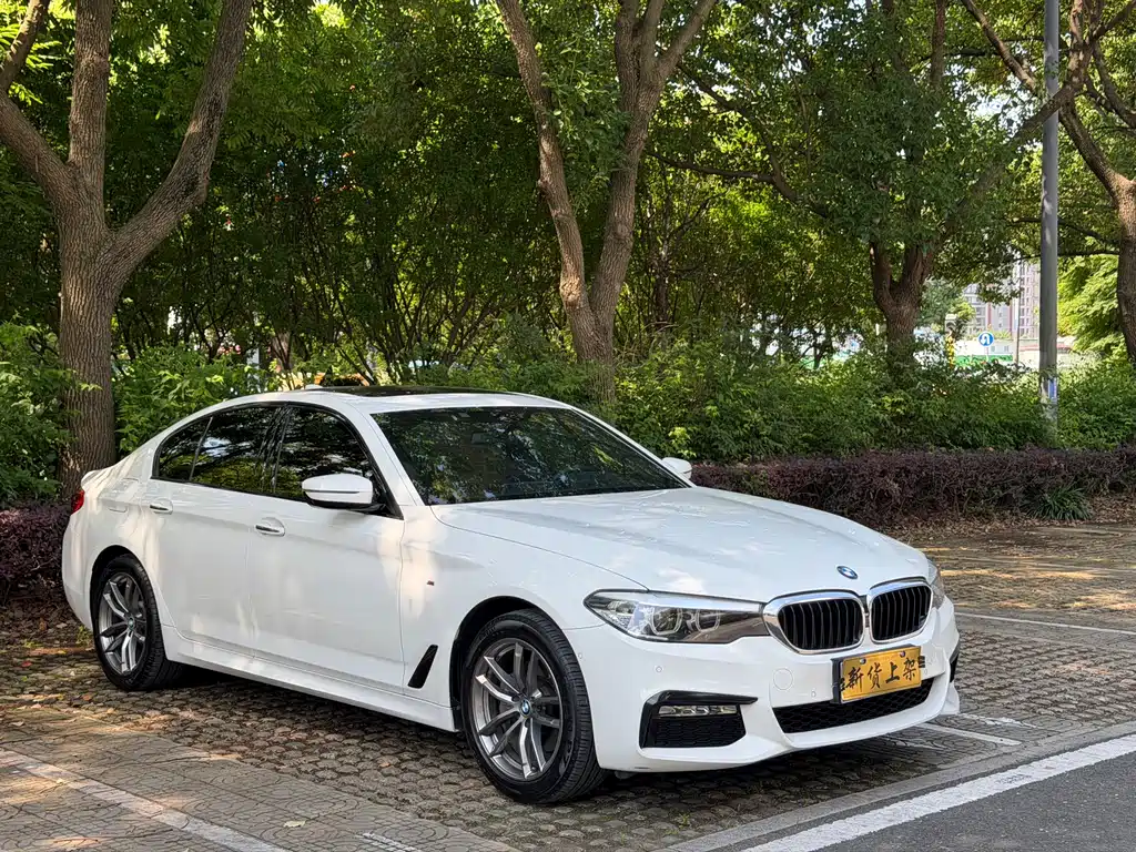 BMW 5 Series 2018 — фото 3