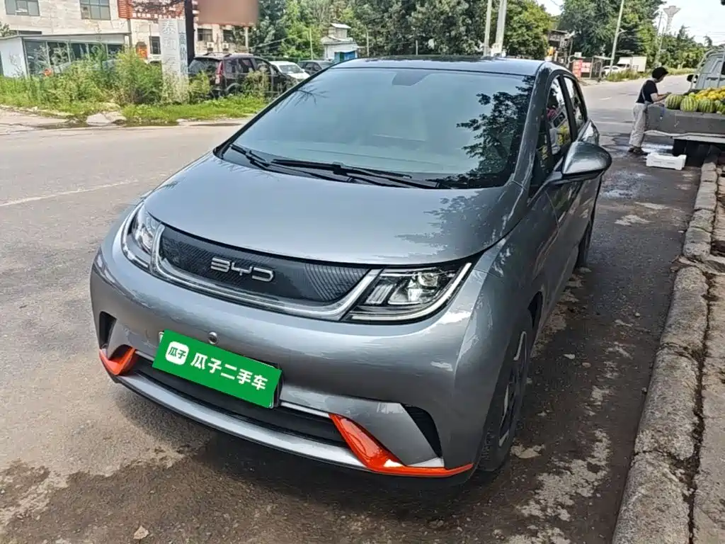 BYD Dolphin 2022