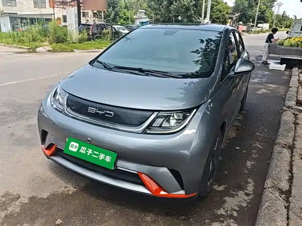 BYD Dolphin 2022