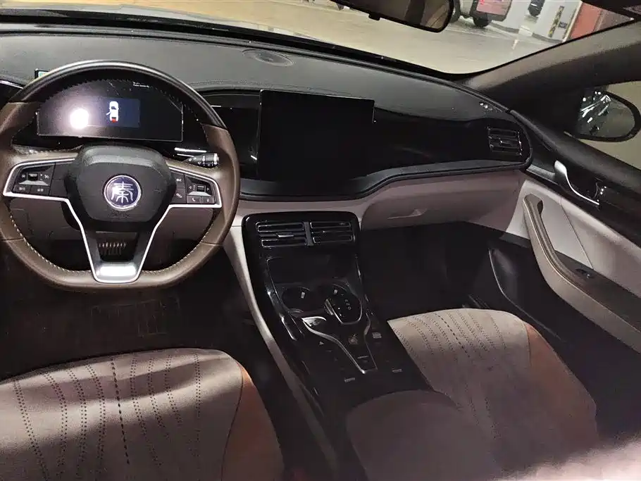 BYD Qin PLUS 2024 — фото 12