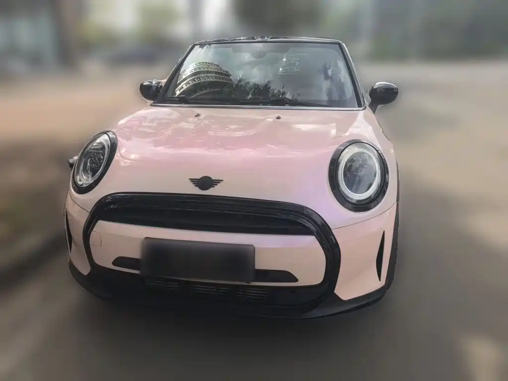 MINI MINI 2022