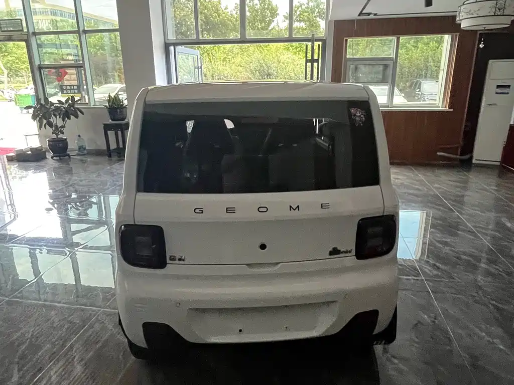 Geely Galaxy Panda 2024