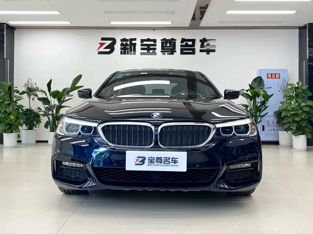BMW 5 Series 2019 — фото 2