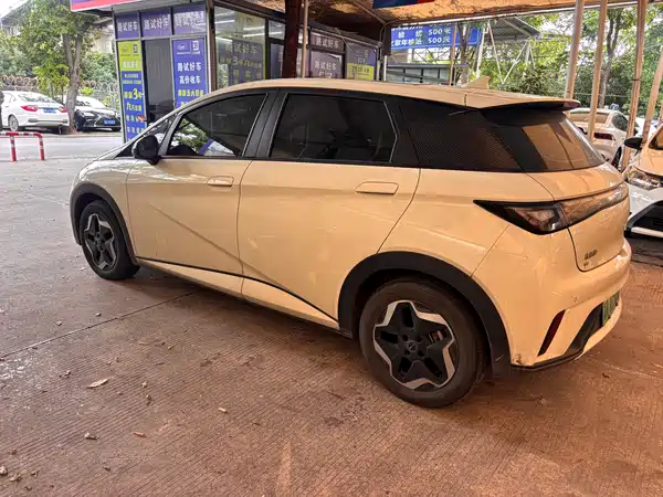 BYD Dolphin 2022