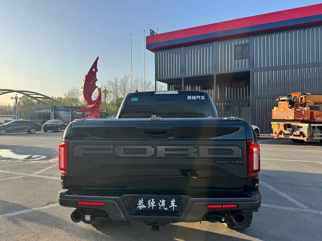 Ford F-150 Raptor 2020 — фото 10