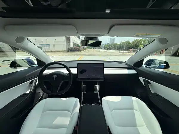 Tesla Model 3 2020