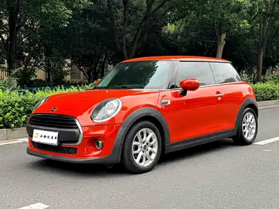 MINI MINI 2021