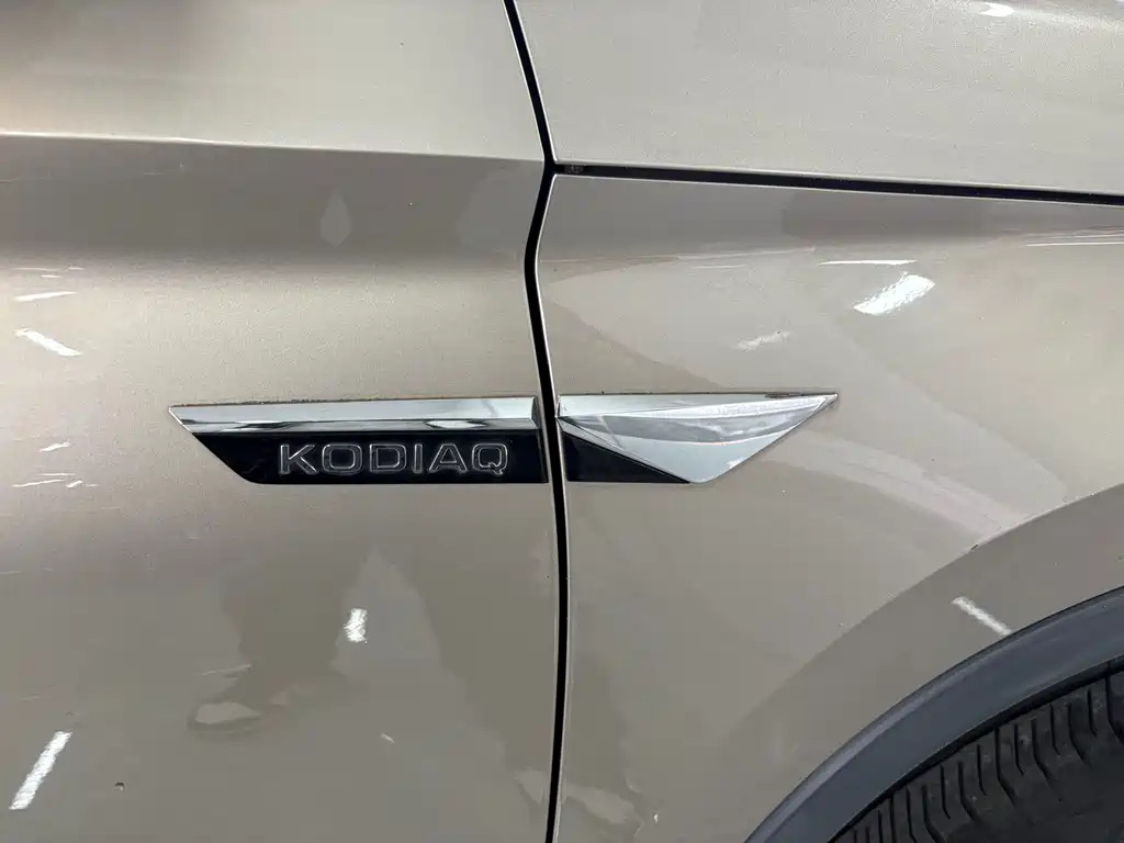 Skoda Kodiaq 2018 — фото 10