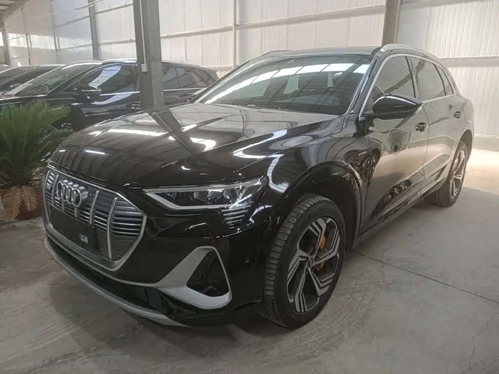 Audi e-tron 2021