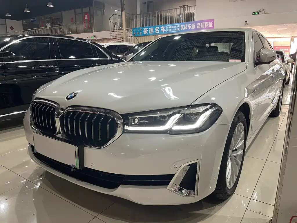 BMW 5 Series New Energy 2021