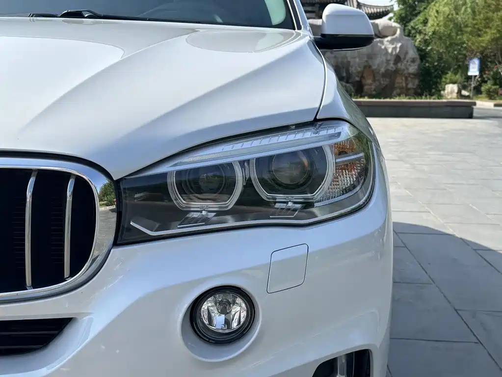 BMW X5 2018 — фото 4