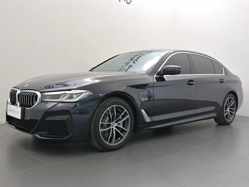 BMW 5 Series New Energy 2022