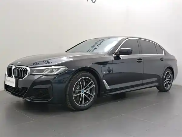 BMW 5 Series New Energy 2022