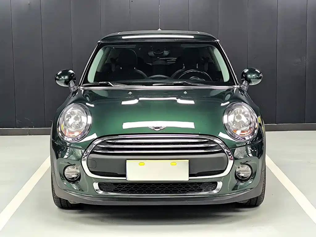 MINI MINI 2015
