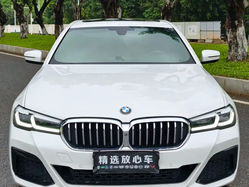 BMW 5 Series 2018 — фото 2