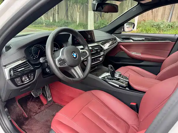 BMW 5 Series 2019