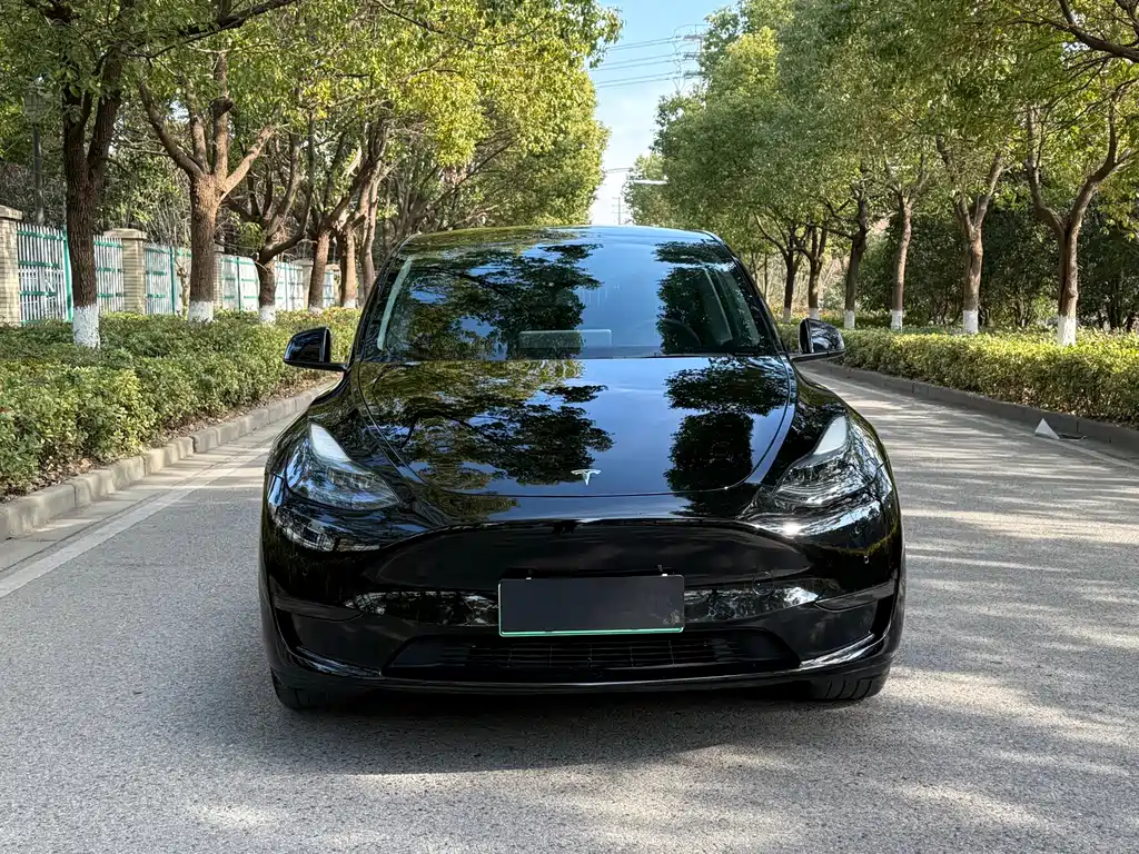Tesla Model Y 2023 — фото 2