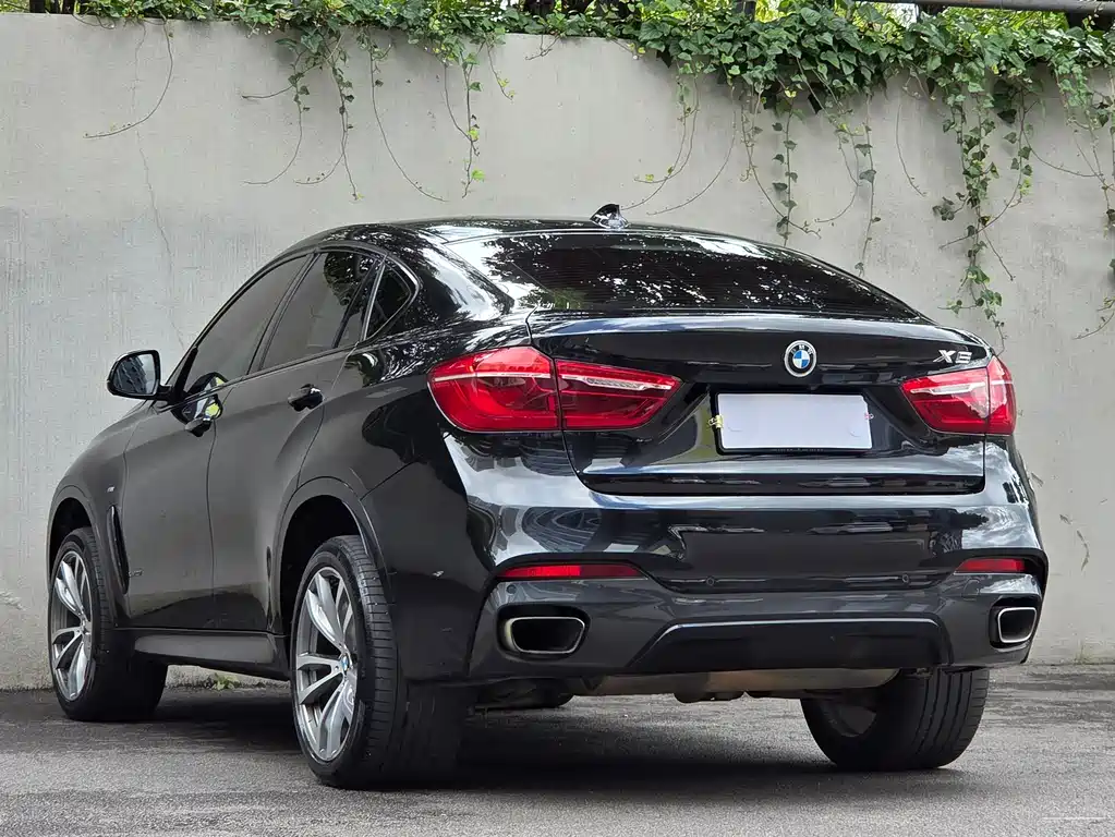 BMW X6 2018