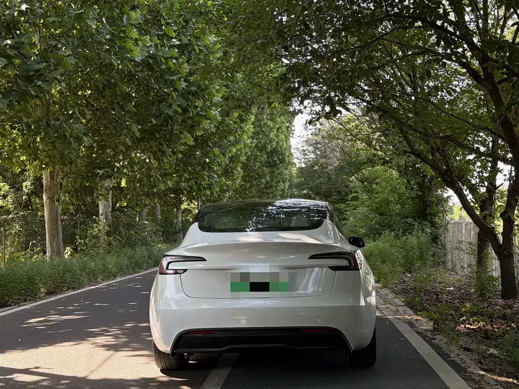 Tesla Model 3 2025