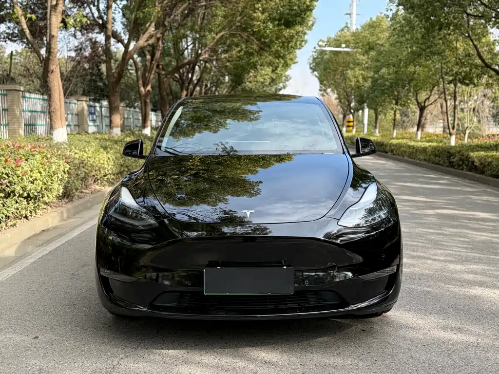 Tesla Model Y 2021 — фото 2