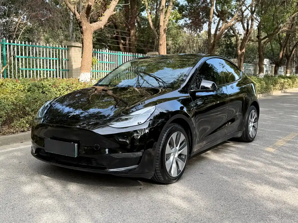 Tesla Model Y 2021 — фото 1
