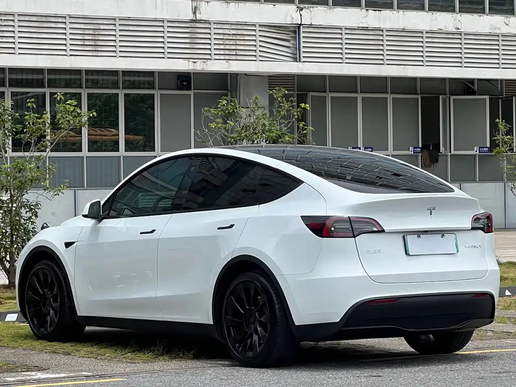 Tesla Model Y 2023 — фото 15