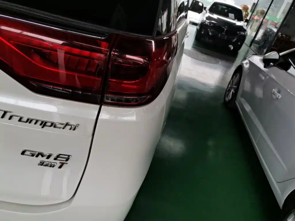 GAC Motor Trumpchi M8 2019 — фото 8