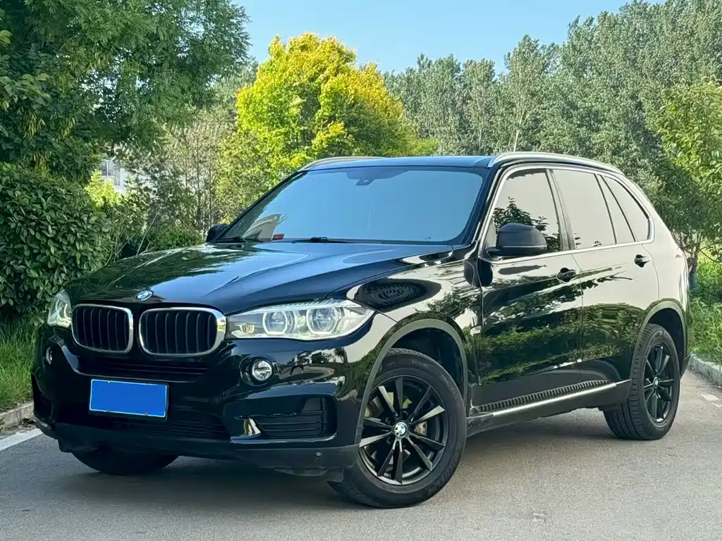 BMW X5 2017 — фото 3