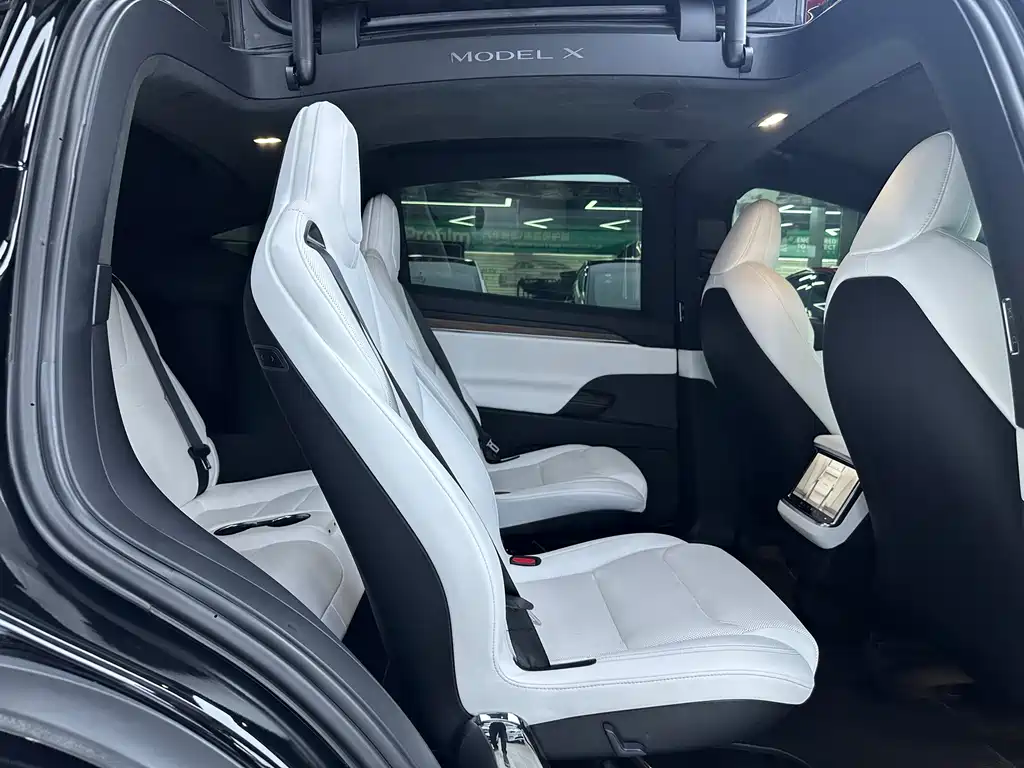 Tesla Model X 2023 — фото 11
