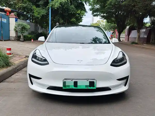 Tesla Model 3 2020