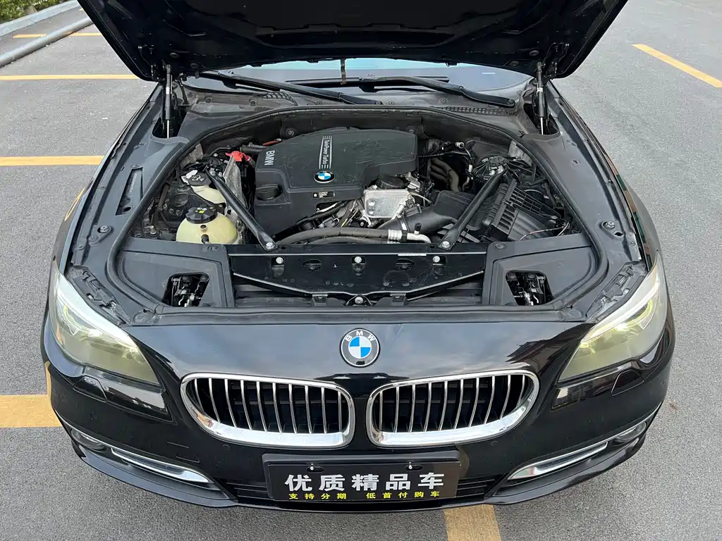 BMW 5 Series 2017 — фото 28