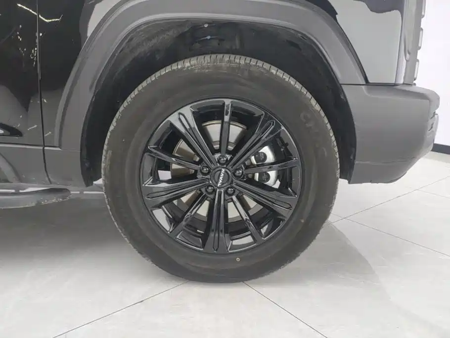 Haval Menglong New Energy 2024