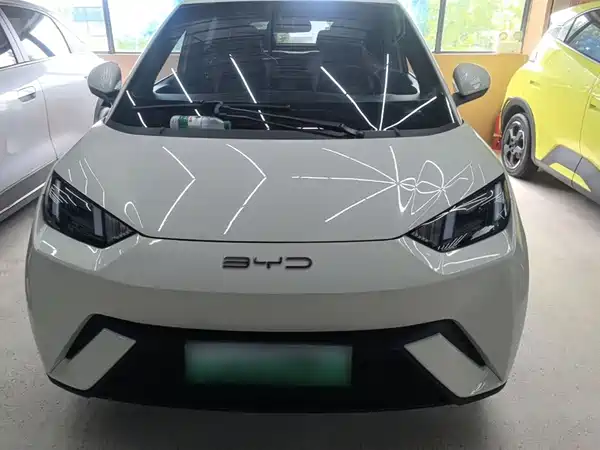 BYD Seagull 2024