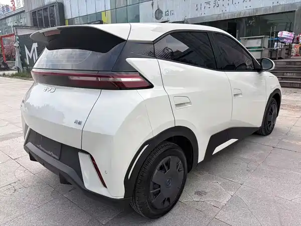BYD Seagull 2024