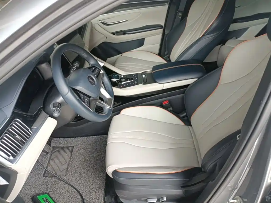 BYD PLUS New Energy 2023 — фото 15