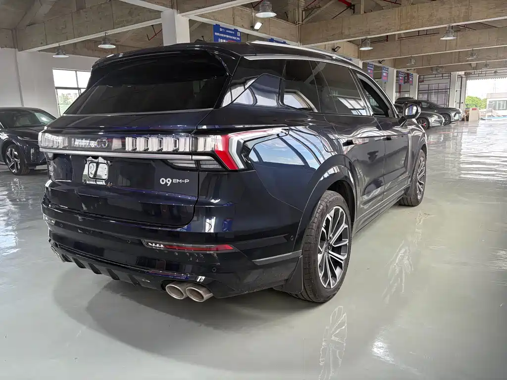 Lynk & Co 09 EM-P 2024